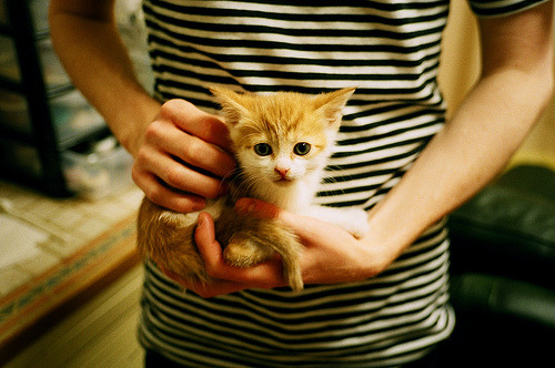 仁川联防守表现提升，仁川联队vsfc首尔