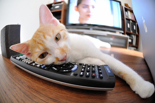 仁川联防守表现提升，仁川联队vsfc首尔