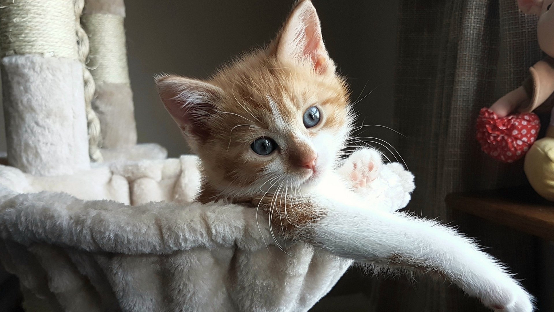 【心理战】心理调适在激烈比赛中的作用,比赛心理调节