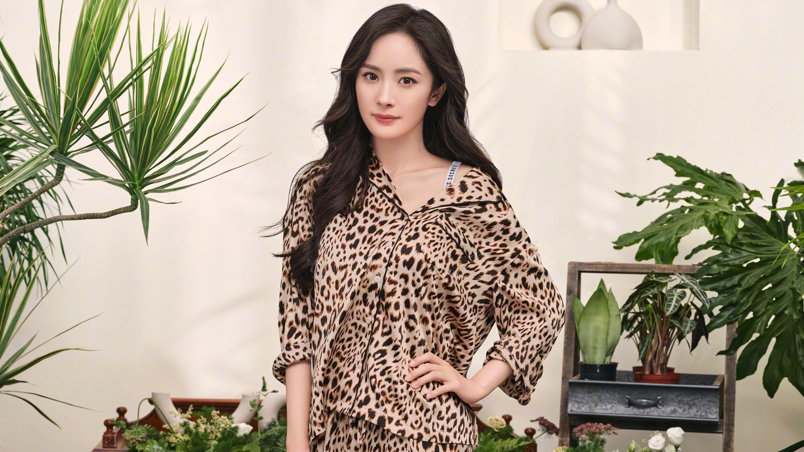 云达不莱梅体验转会市场新趋势，云达不莱梅比赛推迟