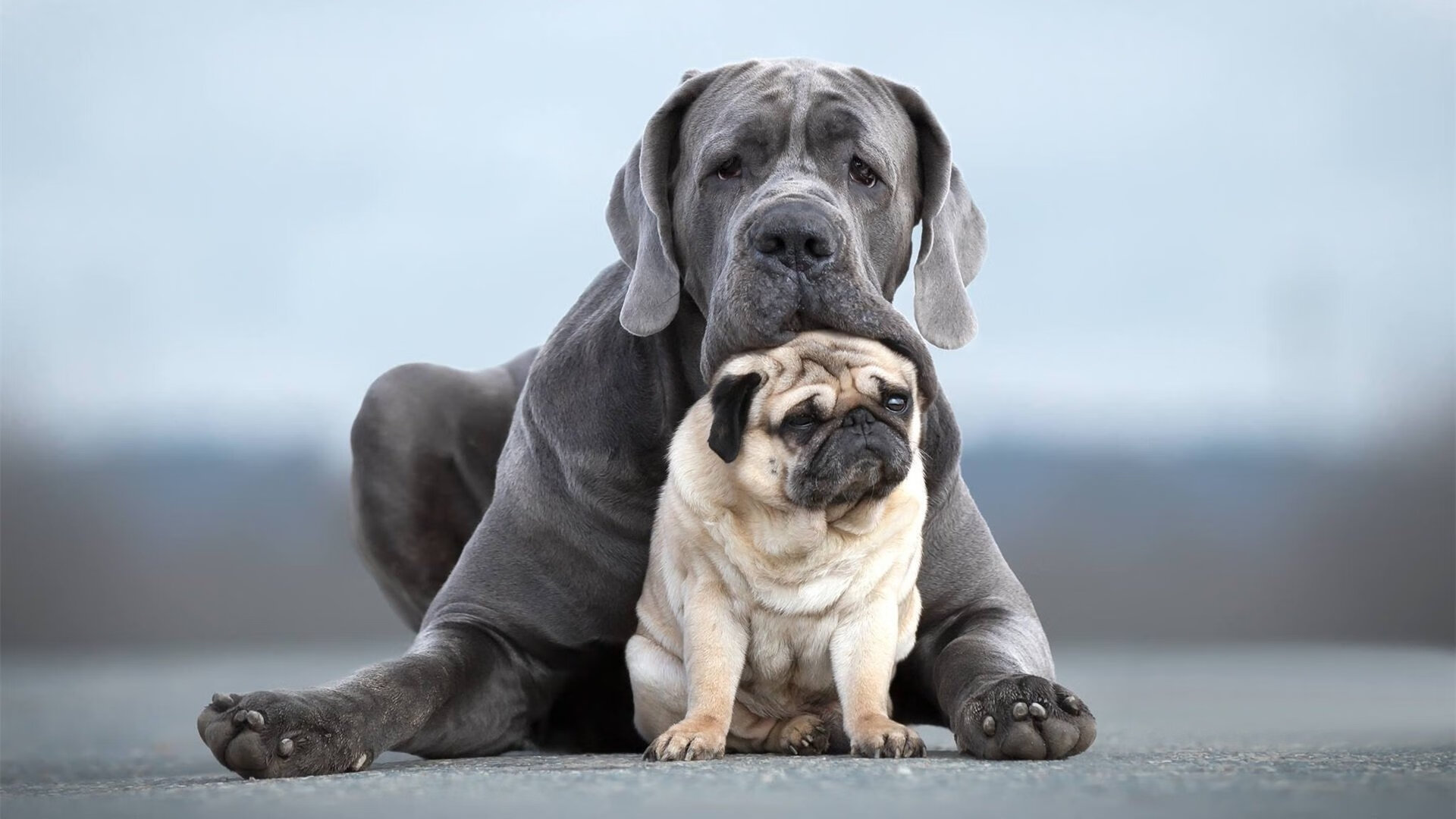 夜空灯光飞盘表演，灯火璀璨中的飞盘奇观，飞碟灯的危害