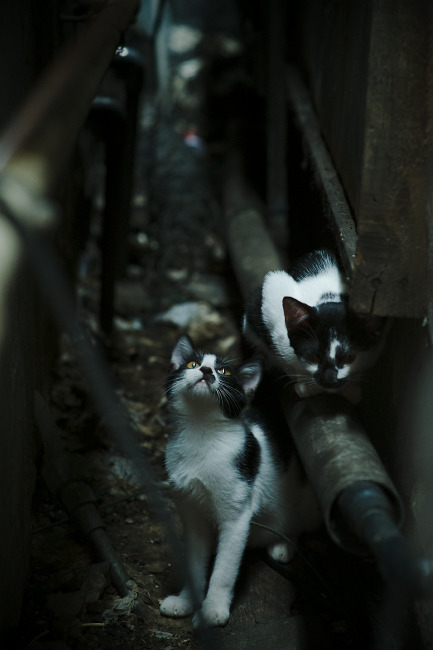 快船在连败后成功“绝地反击”，季后赛形势逐渐明朗！，nba快船绝杀