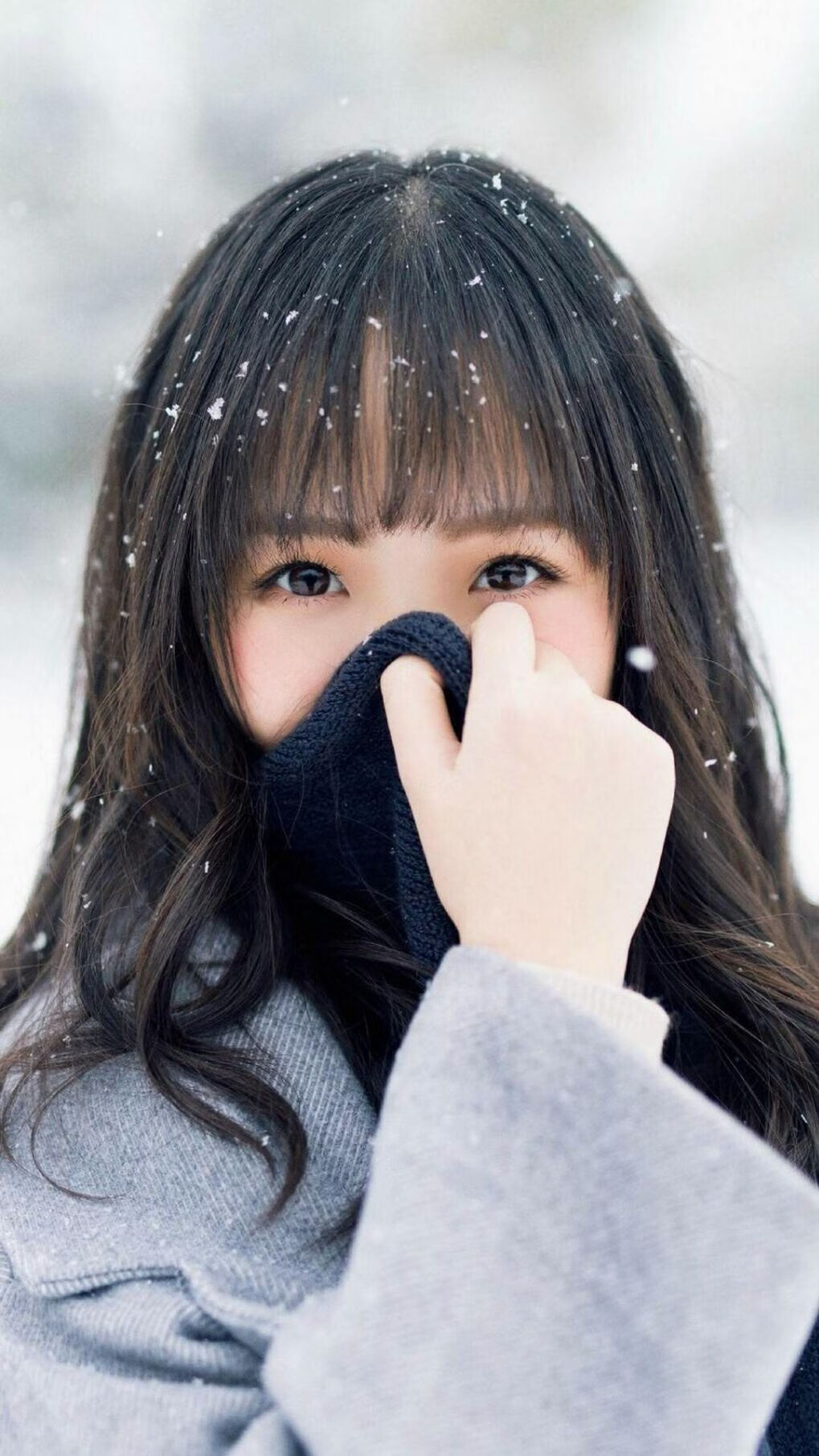 日本马术协会设立青少年马术奖学金，支持优秀学员发展。，日本马术障碍赛