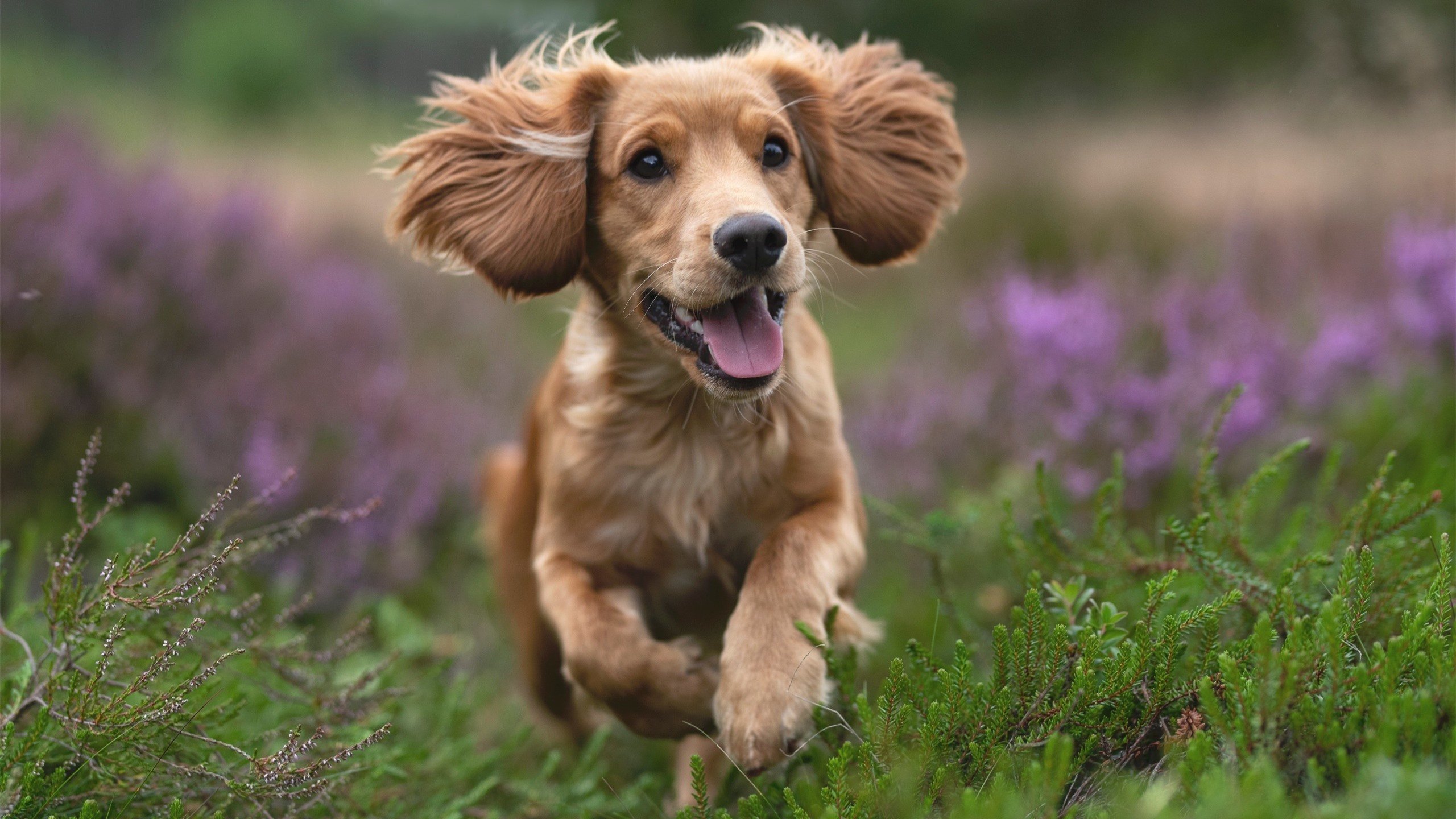 未来联盟:虚拟电竞实时互动,线上线下一体化新玩法,未来 电竞