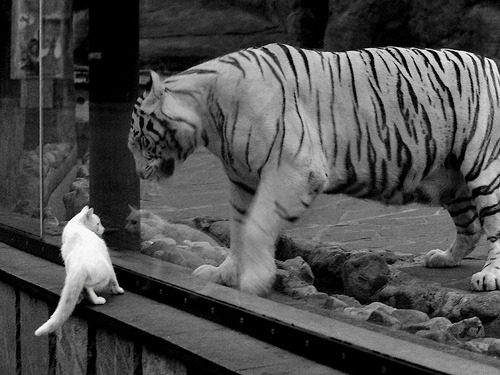 开云-赛季“最强组合”：这些搭档经历了怎样的磨合？，新赛季上分组合