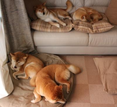 足球+VR虚拟训练在青训中的创新应用,助力青少年成长,足球比赛vr技术