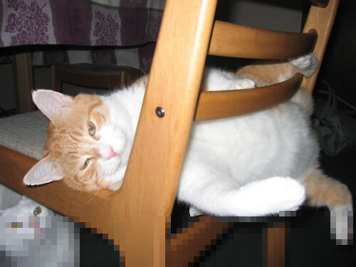 佩纳罗尔球队备战国际赛事,佩纳罗尔球队备战国际赛事时间