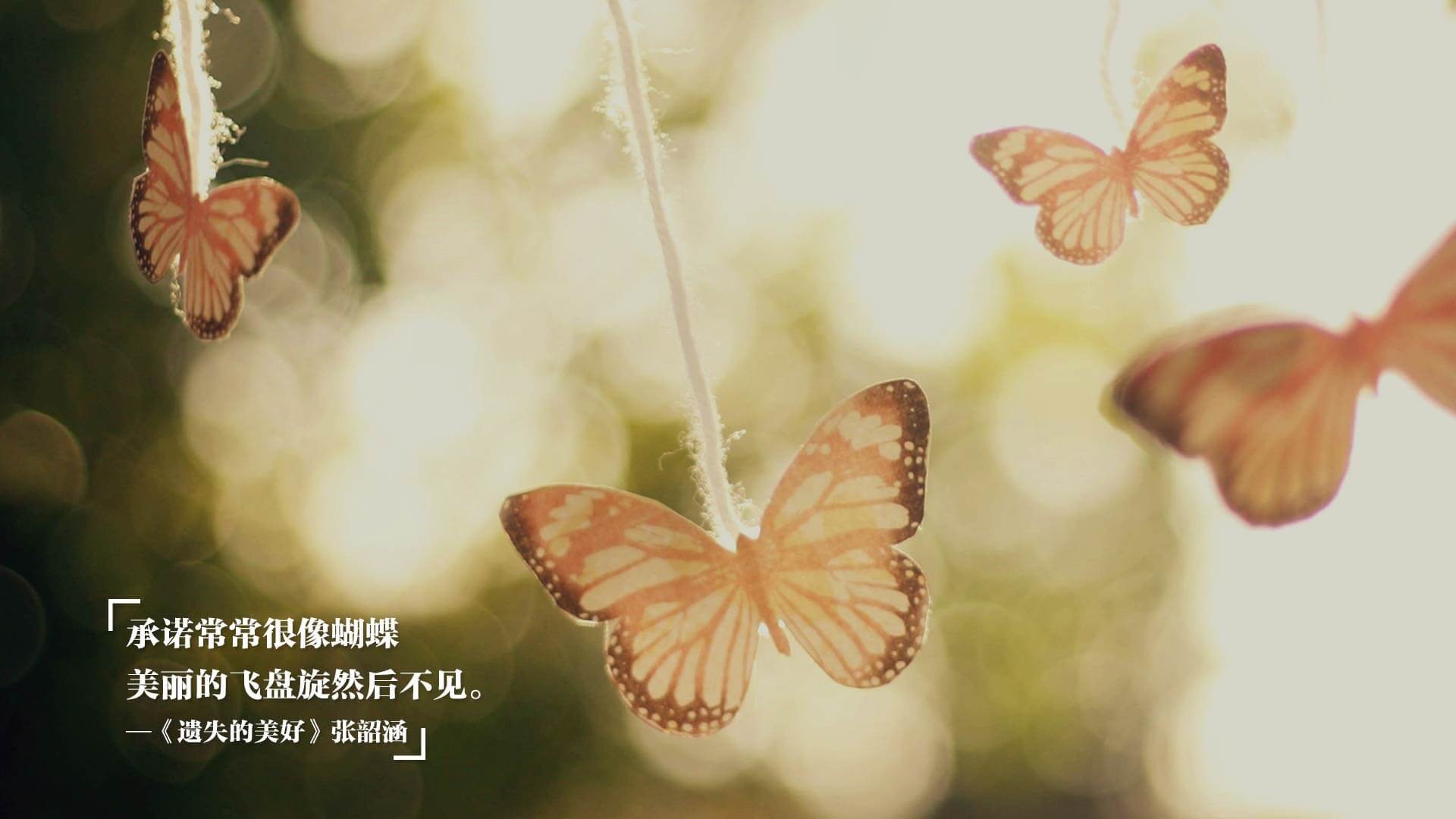 北京首钢新援表现令人期待,看看首钢引援新消息吗