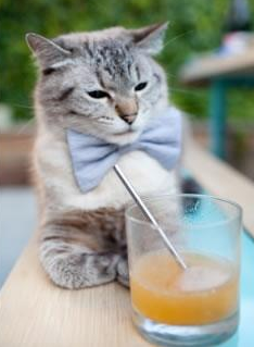 kaiyun-川崎前锋主帅谈战术调整，川崎前锋近况