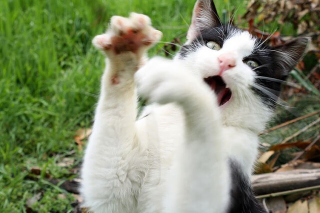 曼联前锋伤愈复出，重返首发阵容，曼联史上最强前锋