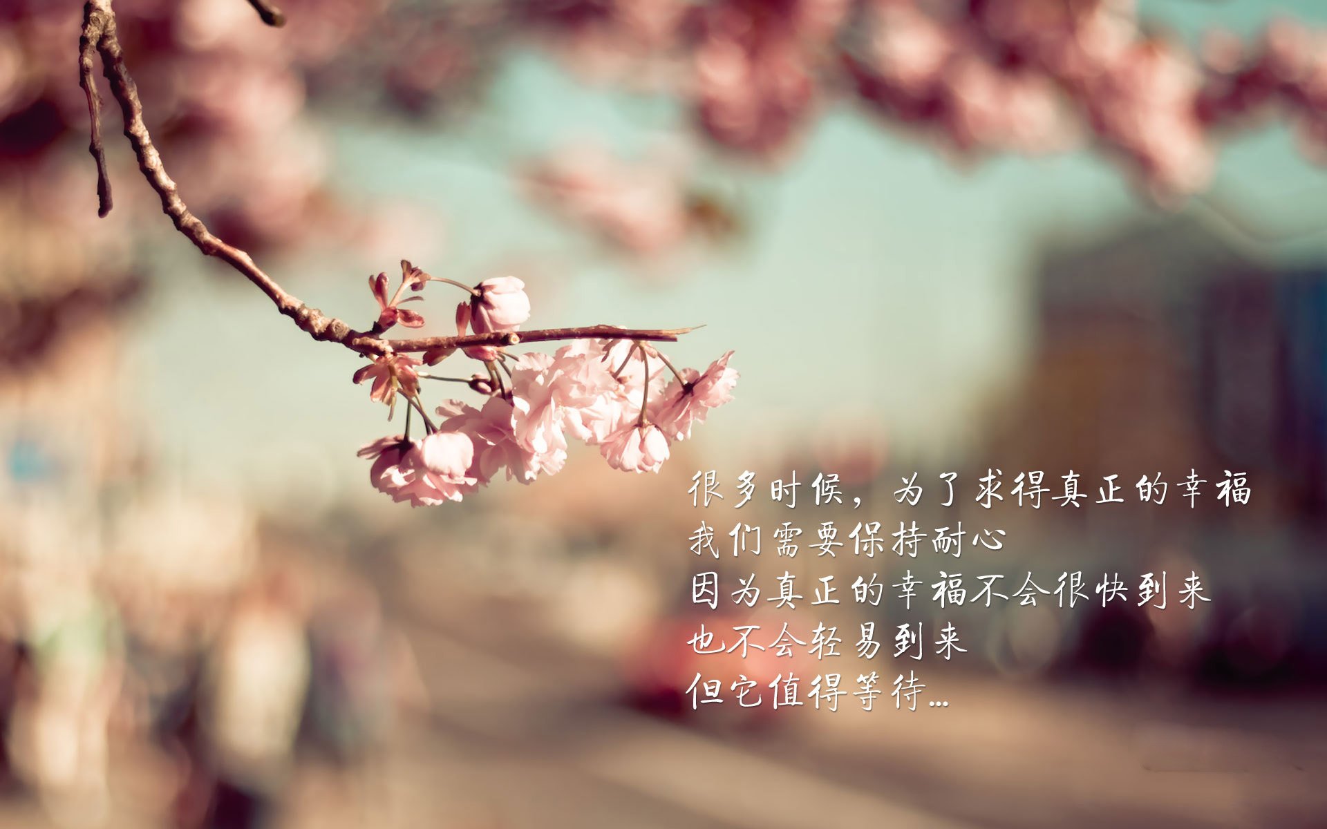 中小学冬季运动课程推广计划全面启动,2020小学冬季运动会方案