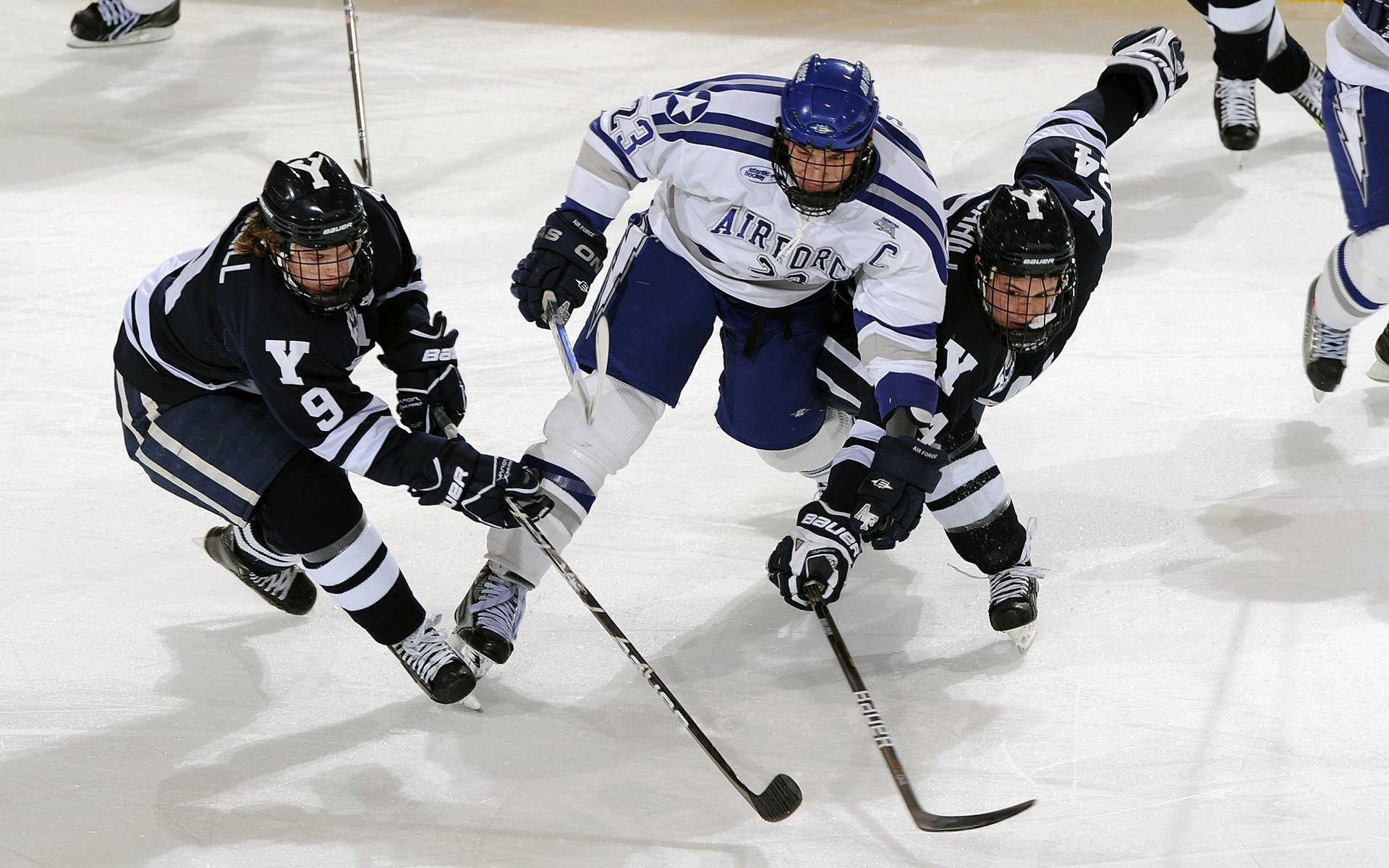 _国际弹跳运动节：跳跃无限可能_，世界公认的弹跳力训练法