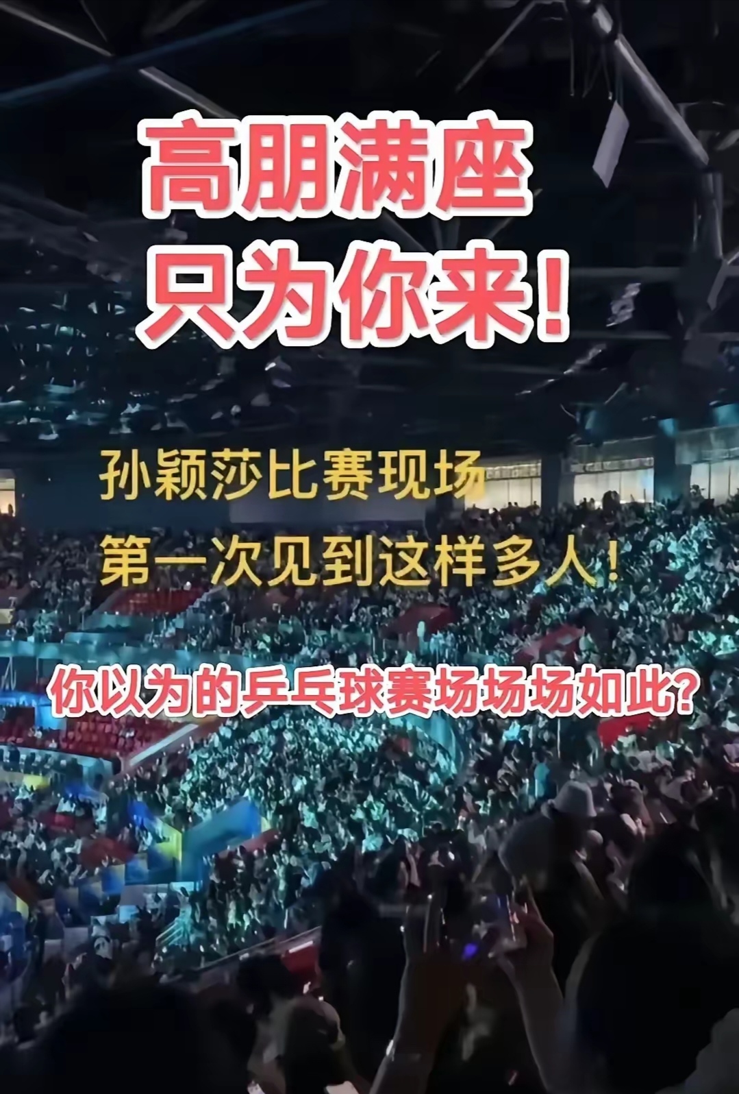 包含"篮球比赛中的欢呼声：球迷的支持与影响"的词条